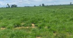 Fazenda à Venda em Iaciara Goiás