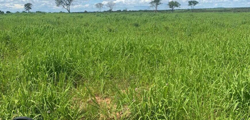 Fazenda à Venda em Iaciara Goiás