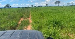 Fazenda à Venda em Iaciara Goiás