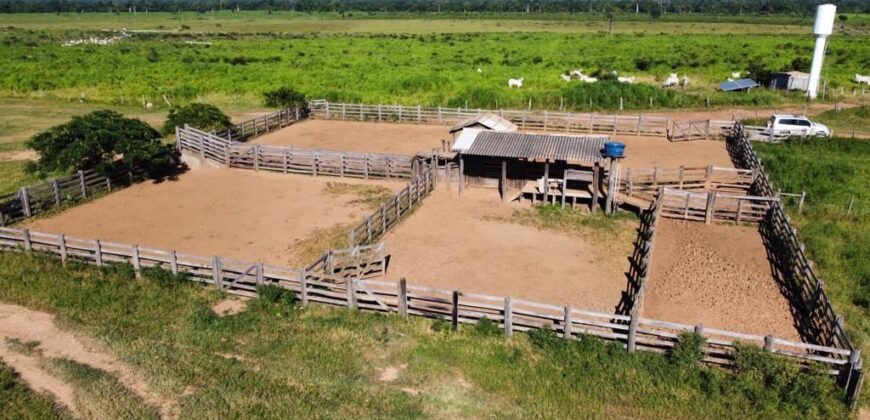 Fazenda à Venda em Iaciara Goiás