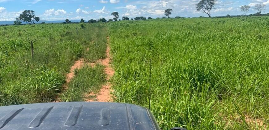 Fazenda à Venda em Iaciara Goiás