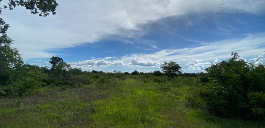 Fazenda à Venda no Município de Flores de Goiás