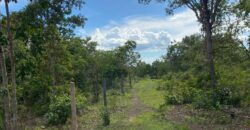 Fazenda à Venda no Município de Flores de Goiás