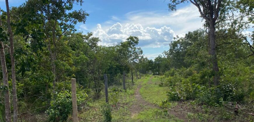 Fazenda à Venda no Município de Flores de Goiás