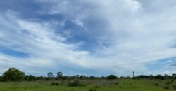 Fazenda à Venda no Município de Flores de Goiás
