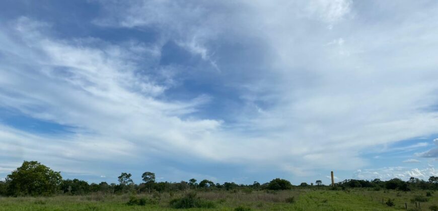Fazenda à Venda no Município de Flores de Goiás
