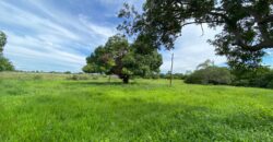 Fazenda à Venda no Município de Flores de Goiás