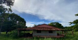 Fazenda à Venda no Município de Flores de Goiás