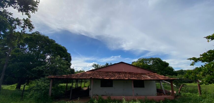 Fazenda à Venda no Município de Flores de Goiás