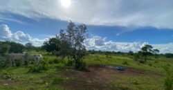 Fazenda à Venda no Município de Flores de Goiás