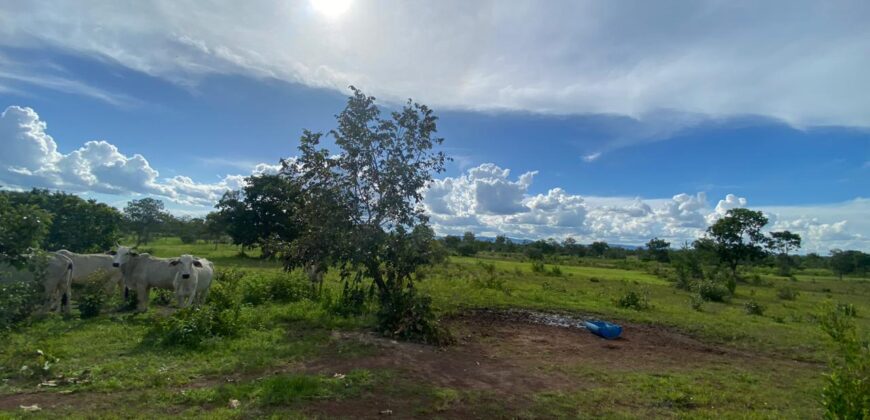 Fazenda à Venda no Município de Flores de Goiás