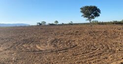 Fazenda à Venda em São João D’Aliança – Goiás