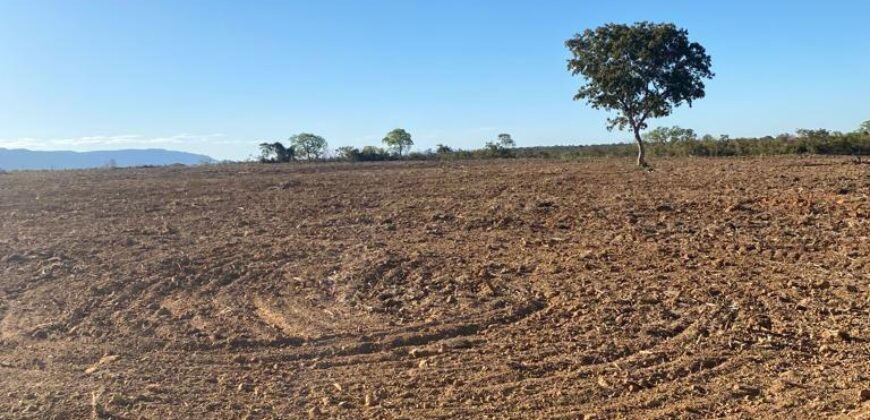 Fazenda à Venda em São João D’Aliança – Goiás