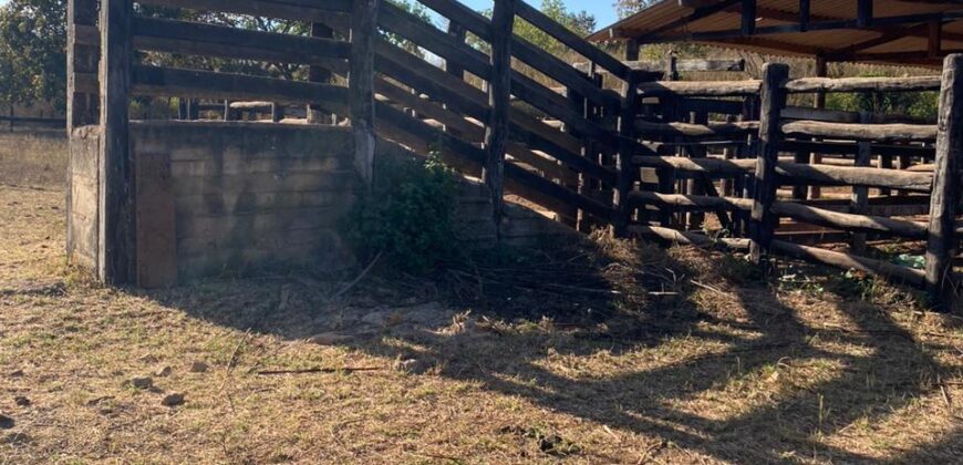 Fazenda à Venda em São João D’Aliança – Goiás