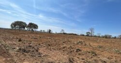Fazenda à Venda em São João D’Aliança – Goiás