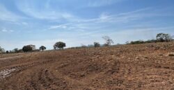 Fazenda à Venda em São João D’Aliança – Goiás