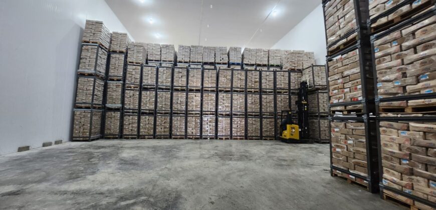 Centro de Distribuição com Câmara Fria e Depósito Seco de Alta Capacidade à Venda em Manaus