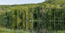 Propriedade à Venda em Pawling, NY | 104 North Garden DR