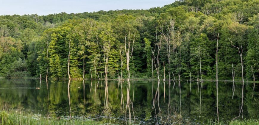 Propriedade à Venda em Pawling, NY | 104 North Garden DR